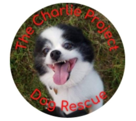 The Charlie Project Dog Rescue